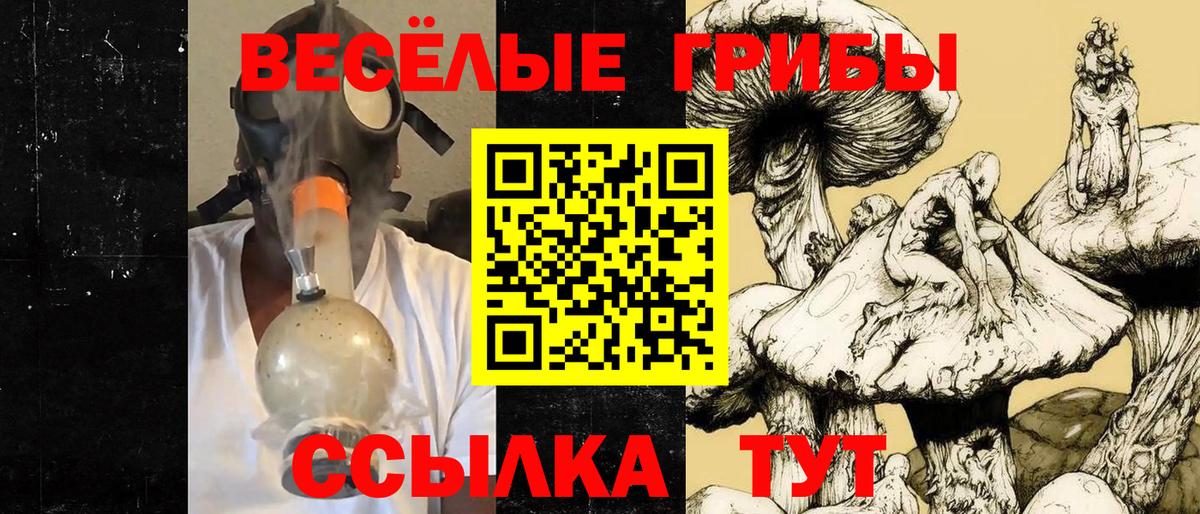 Псилоцибиновые грибы ЛСД Новотроицк